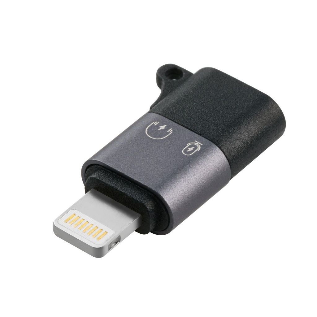 USB-C LIGHTNING ADAPTER,  *