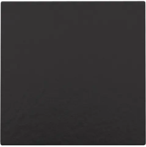 CPL  BLINDPLAAT B.BLACK  *