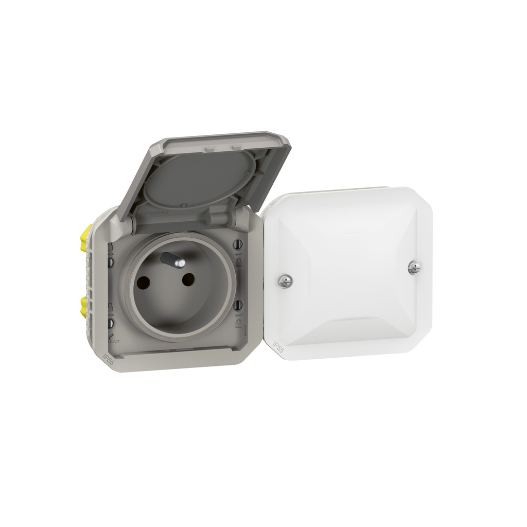 PLEXO WITH NETATMO PRISE 2P+T HORIZONTAL  *