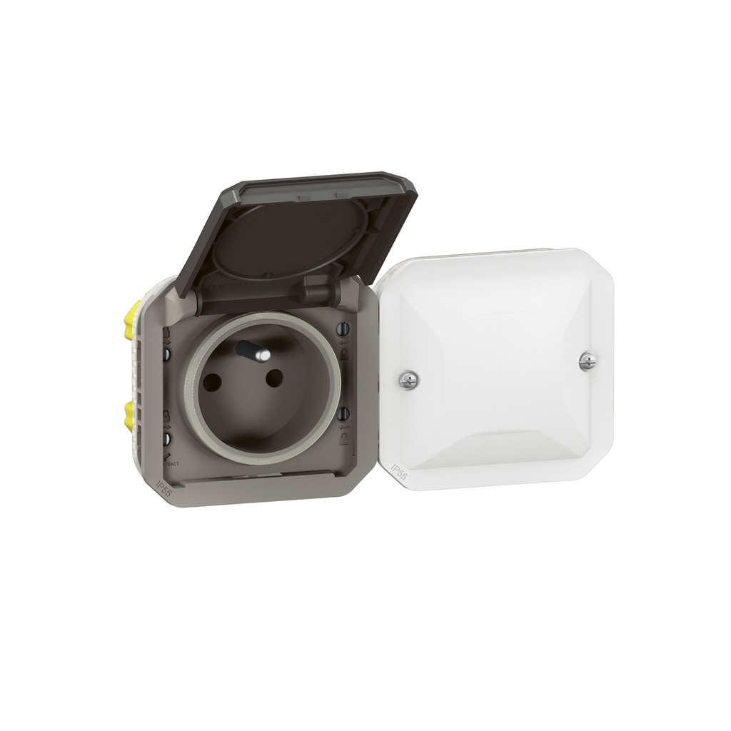 PLEXO WITH NETATMO PRISE 2P+T HORIZONTAL  *