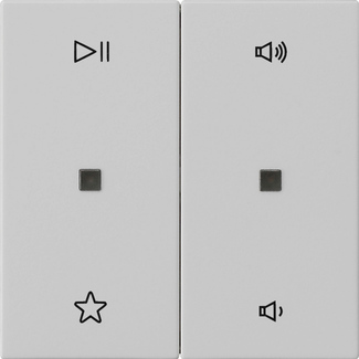 BASC.2X COM.AUDIO SYSTEM 55 GRIS M  *