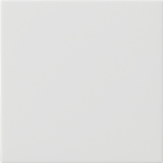 MODULE COMMANDE S3000 SYSTEM 55 BLANC  *