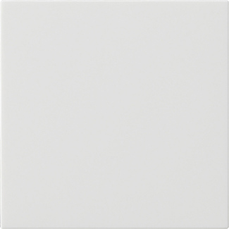 MODULE COMMANDE S3000 SYSTEM 55 BLANC MAT  *