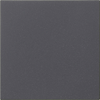 MODULE COMMANDE S3000 SYSTEM 55 ANTHRACITE  *
