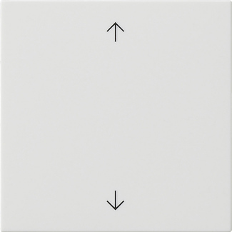 MODULE COMMANDE S3000 SYMBOLES FLECHE SYSTEM 55 BLANC  *
