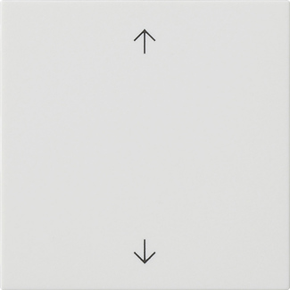 MODULE COMMANDE S3000 SYMBOLES FLECHE SYSTEM 55 BLANC MAT  *