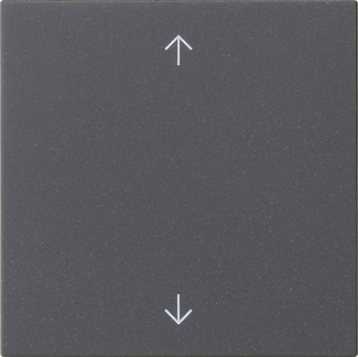 MODULE COMMANDE S3000 SYMBOLES FLECHE SYSTEM 55 ANTHRACITE  *