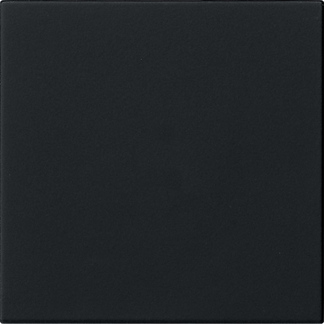 MODULE COMMANDE S3000 SYSTEM 55 NOIR MAT  *