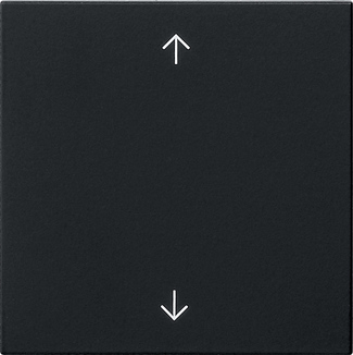 MODULE COMMANDE S3000 SYMBOLES FLECHE SYSTEM 55 NOIR MAT  *