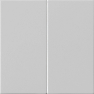 MODULE COMMANDE S3000 2X SYSTEM 55 GRIS   *