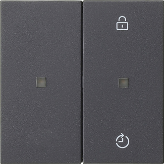 System 55 anthracite  *
