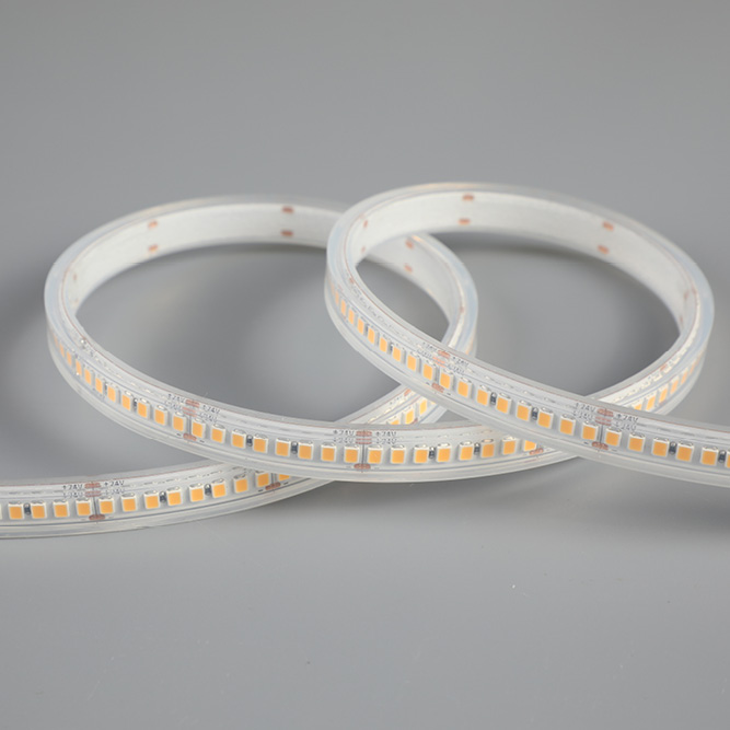 STRIP PERFORMANCE 2000LM/M  IP67 6500K 24VDC DOTFR  *