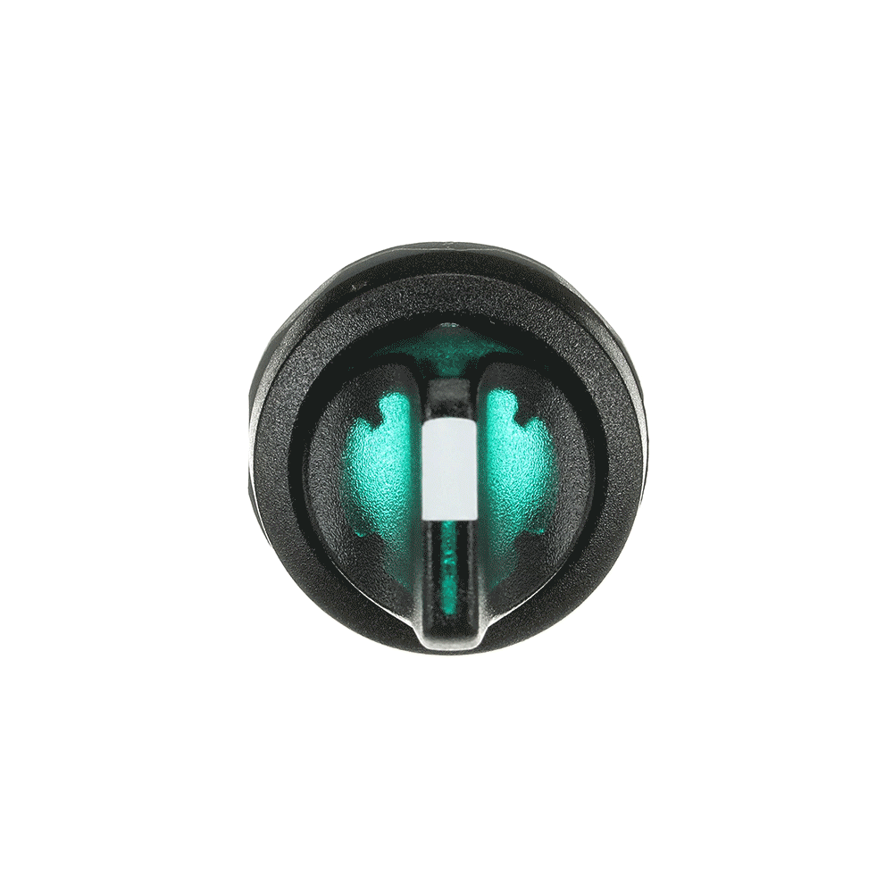M2SS1-11G SELECTOR SWITCH  *