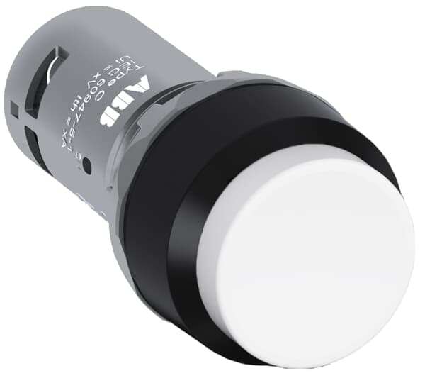 BOUTTON POUSSOIR BLANC 1NO  *