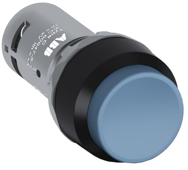 BOUTTON POUSSOIR BLEU 2NO  *