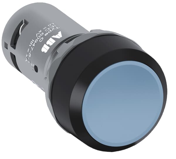 BOUTTON POUSSOIR PLAT BLEU 2NO  *