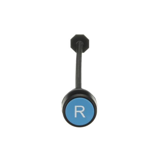 BOUTON POUSSOIR PLONGE BLUE AVEC AXE  *