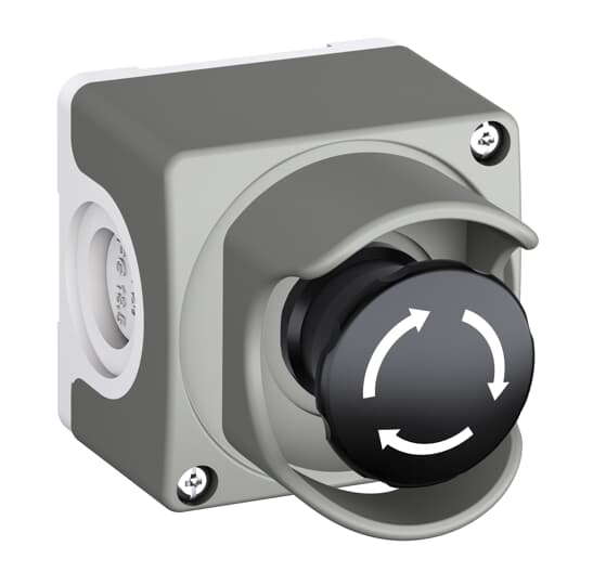 ENCLOSURE CEP1-2001  *