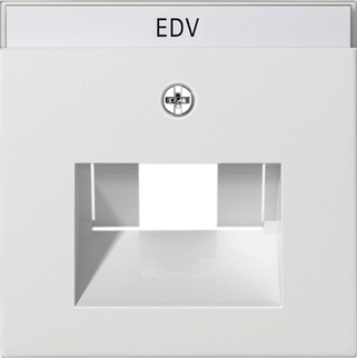 AFD. TK UAE/IAE- + NETWERKAANSLUITDOOS SYSTEM 55 ZUIVER WIT M  *