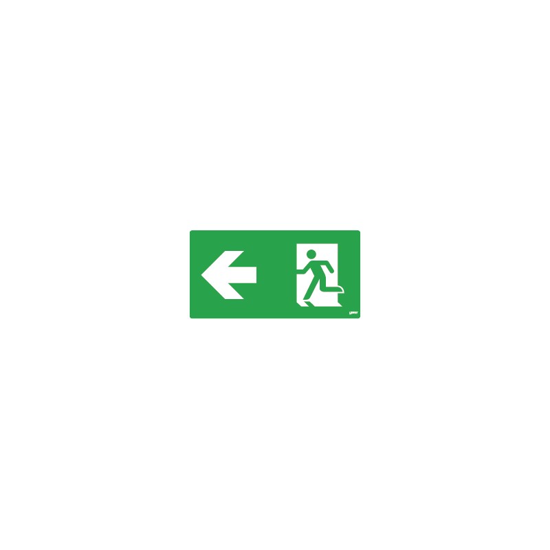 PICTO FLAG LEFT  *