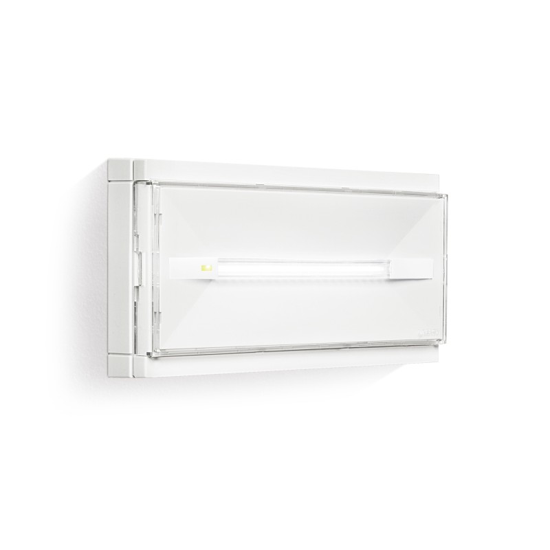 PRODIGY 2W 110LM CENTRALE  *