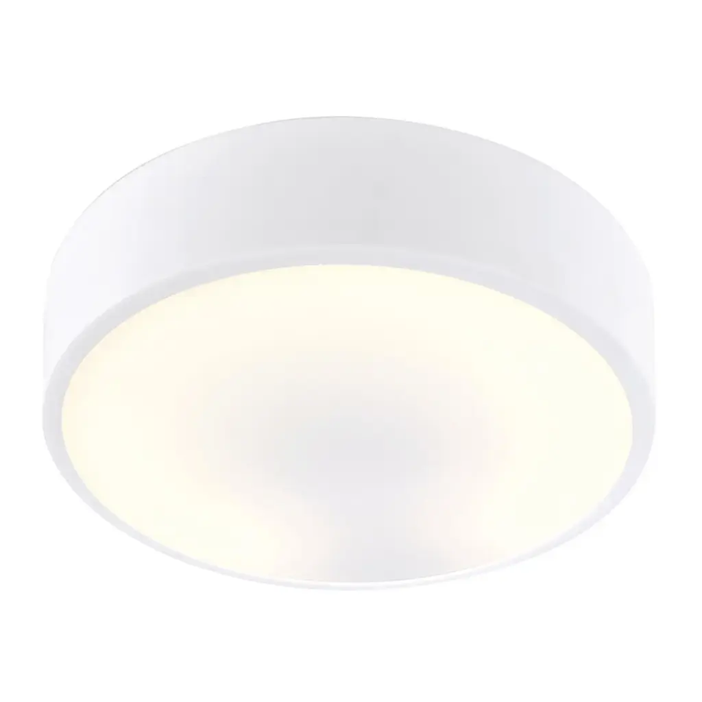 PLAFONNIER APPARENT - POLYCARBONATE - AVEC DRIVER LED BLANC MAT TEXTURE  *