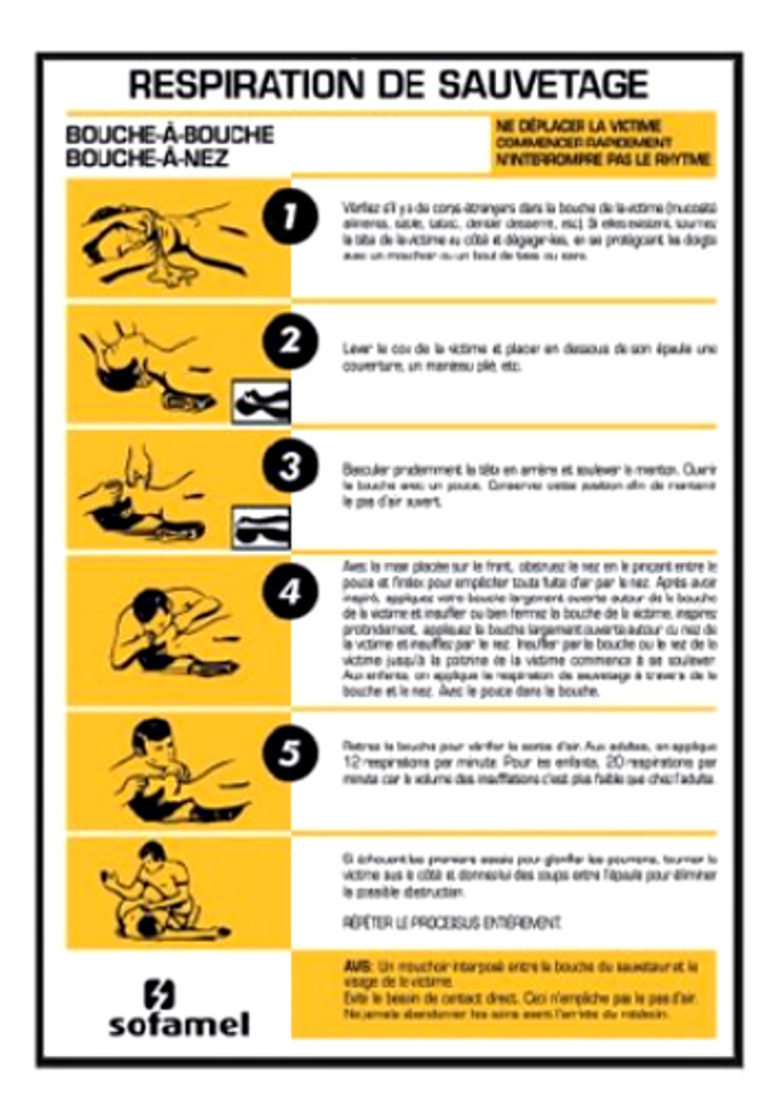 PREMIERS SECOURS ES  *