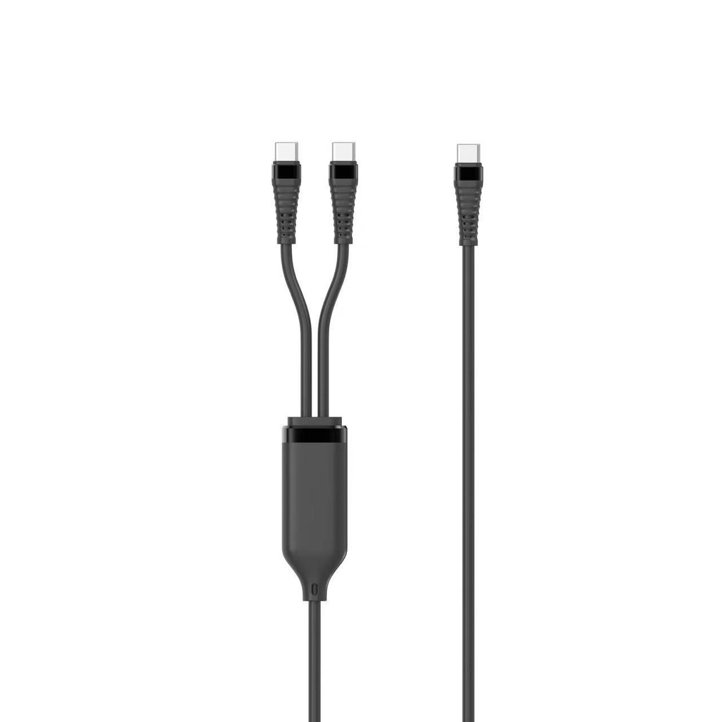 1-IN-2 PD100W USB-C TO  *