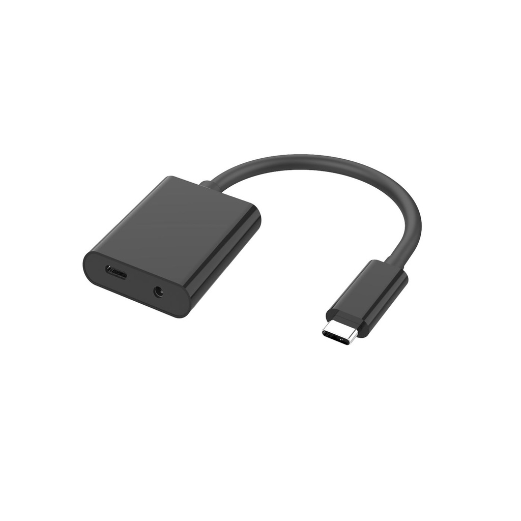 USB-C TO AUDIO MINIJACK &  *
