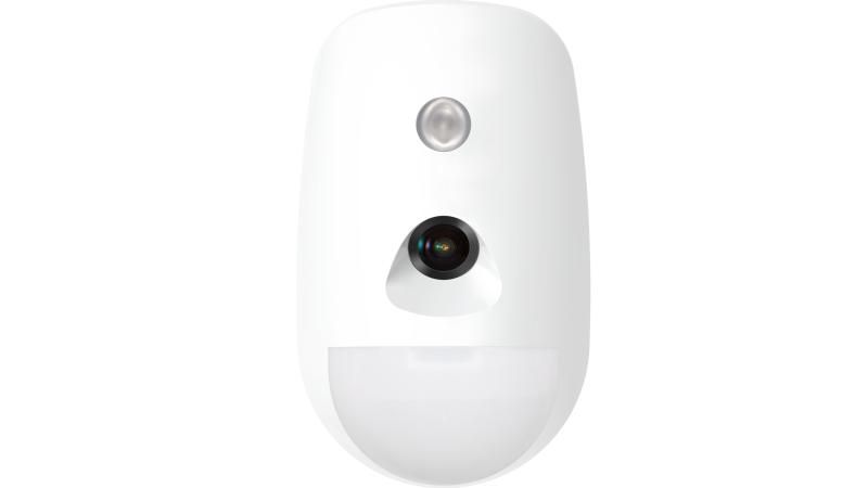 WIRELESS PIR-CAMERA DETECTOR  *