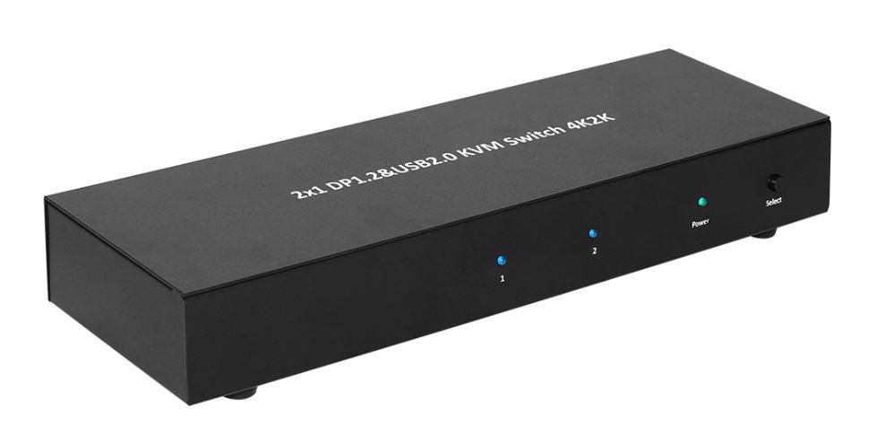 DISPLAYPORT & USB 2 TO 1 WAY  *
