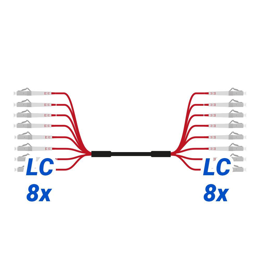 ASSEMBLY LC/LC APC  *