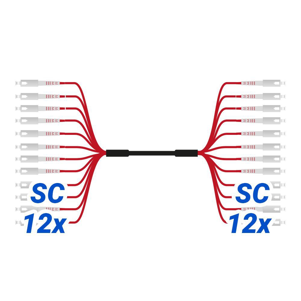ASSEMBLY SC/SC APC  *